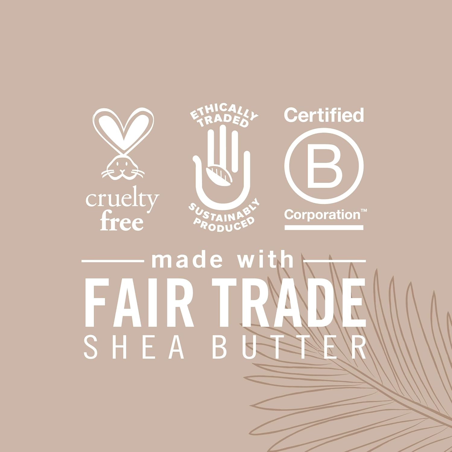 S M Virgin Coconut Oil Wash 13oz bottle with fair trade shea butter