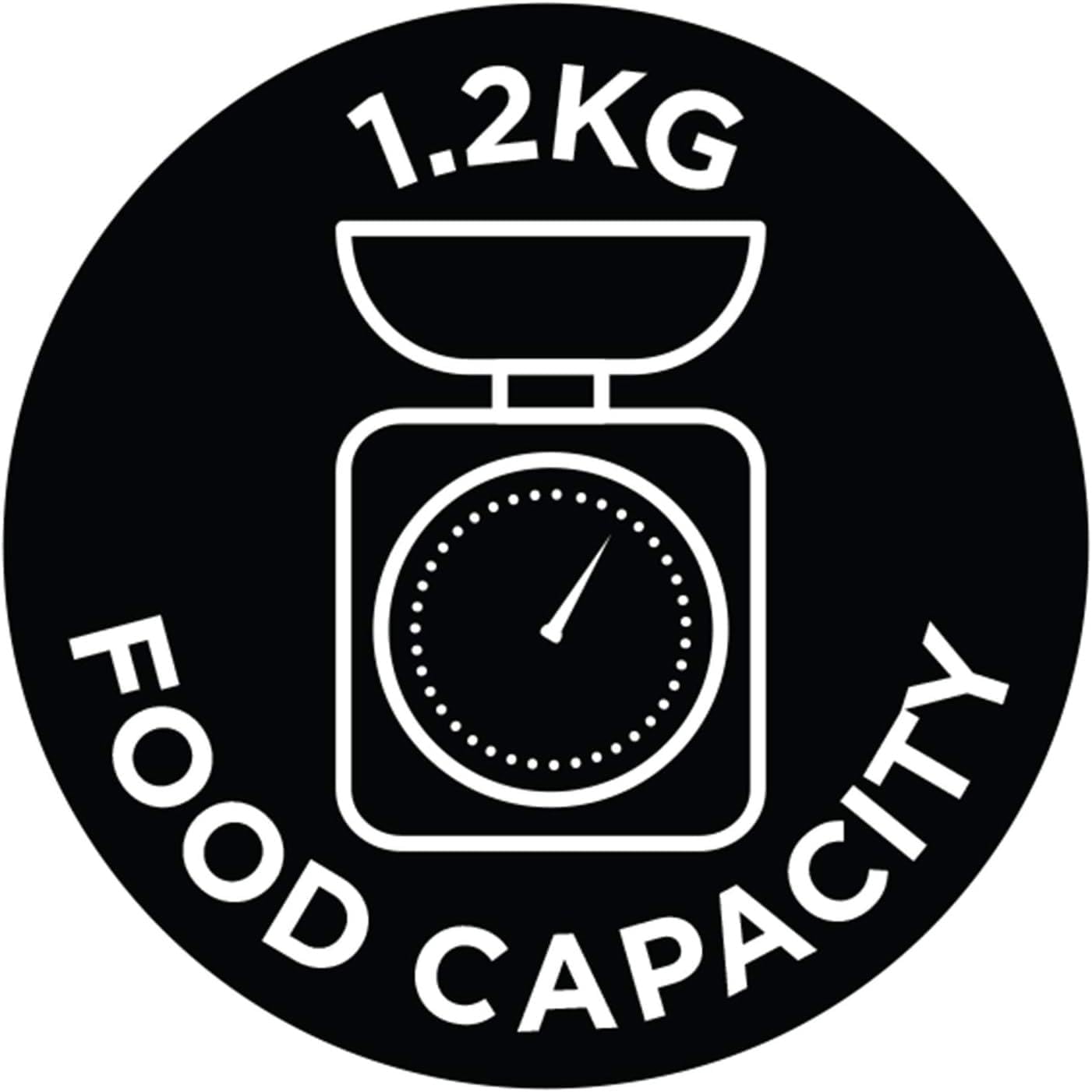 Russell Hobbs Professional deep fryer with 1.2kg food capacity dial display