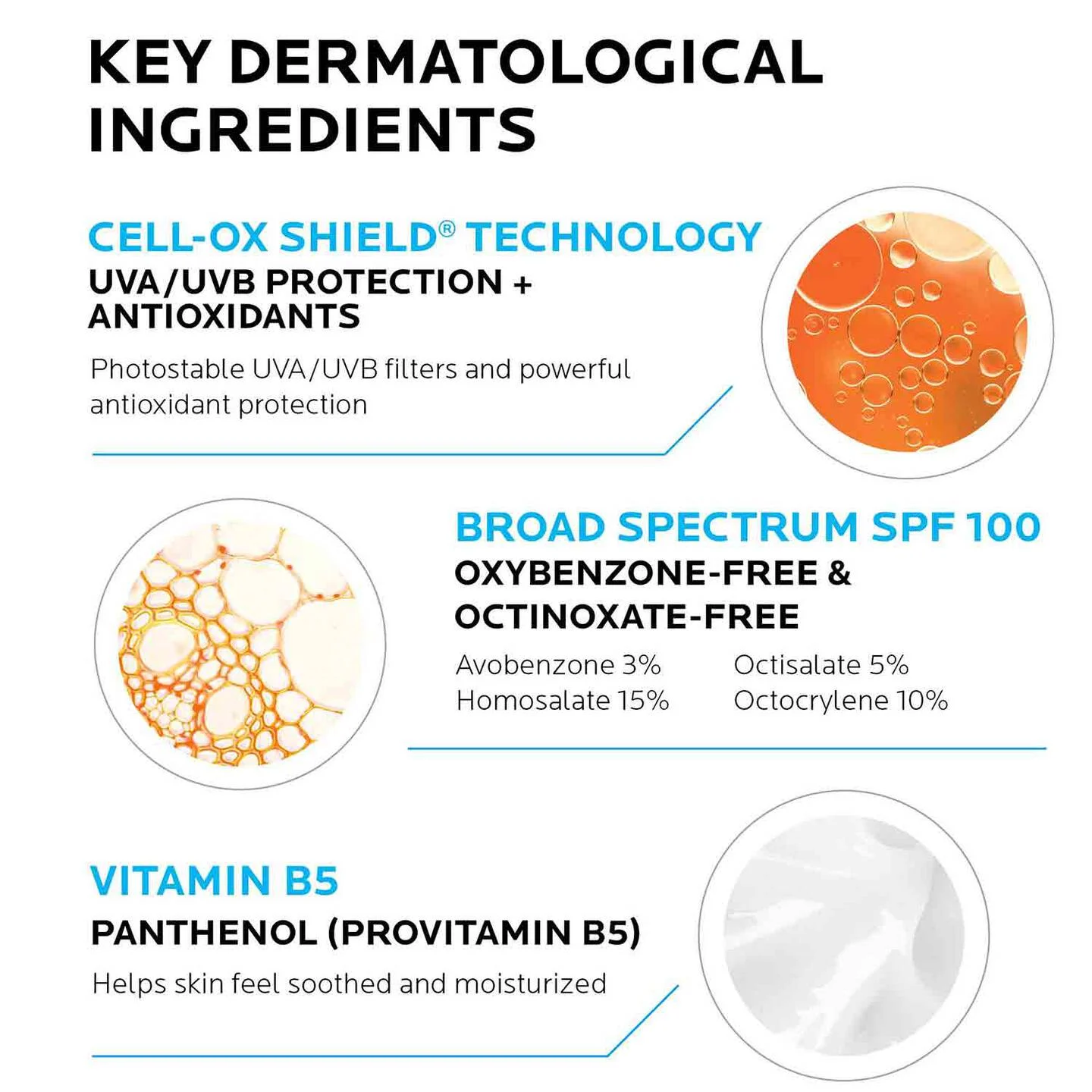 La Roche-Posay Anthelios Melt-in Milk Sunscreen SPF 100 key ingredients infographic