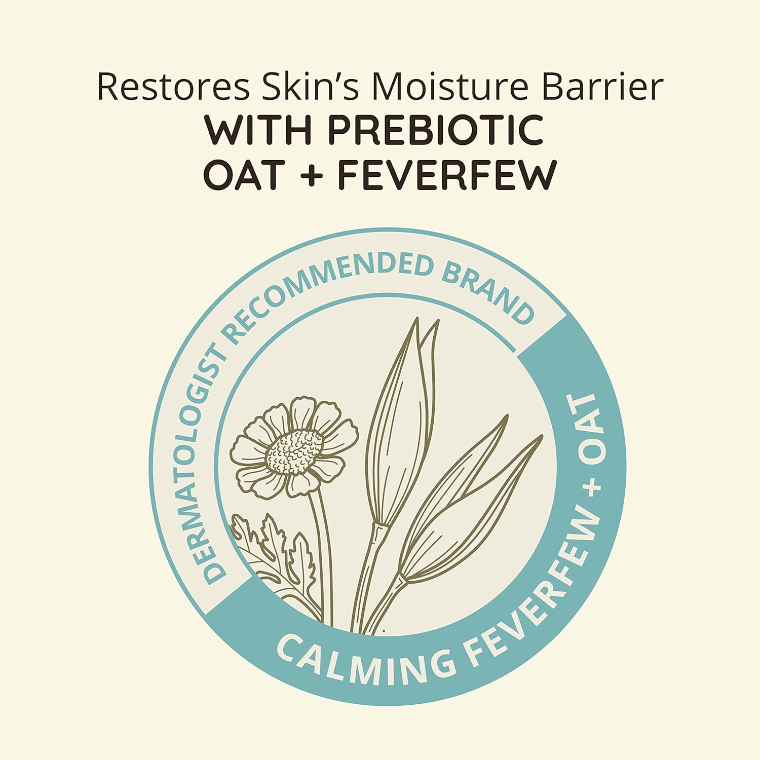 Aveeno Calm + Restore facial moisturiser with prebiotic oat and feverfew for redness relief