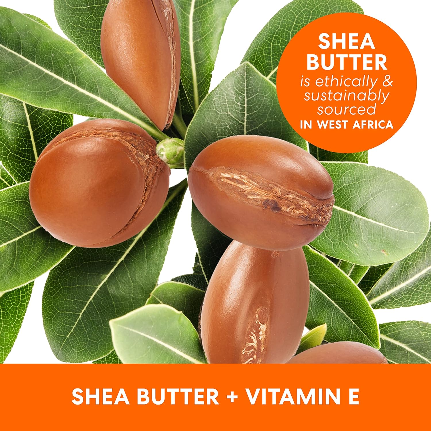 Palmer's Raw Shea Nourish Body Oil with Vitamin E