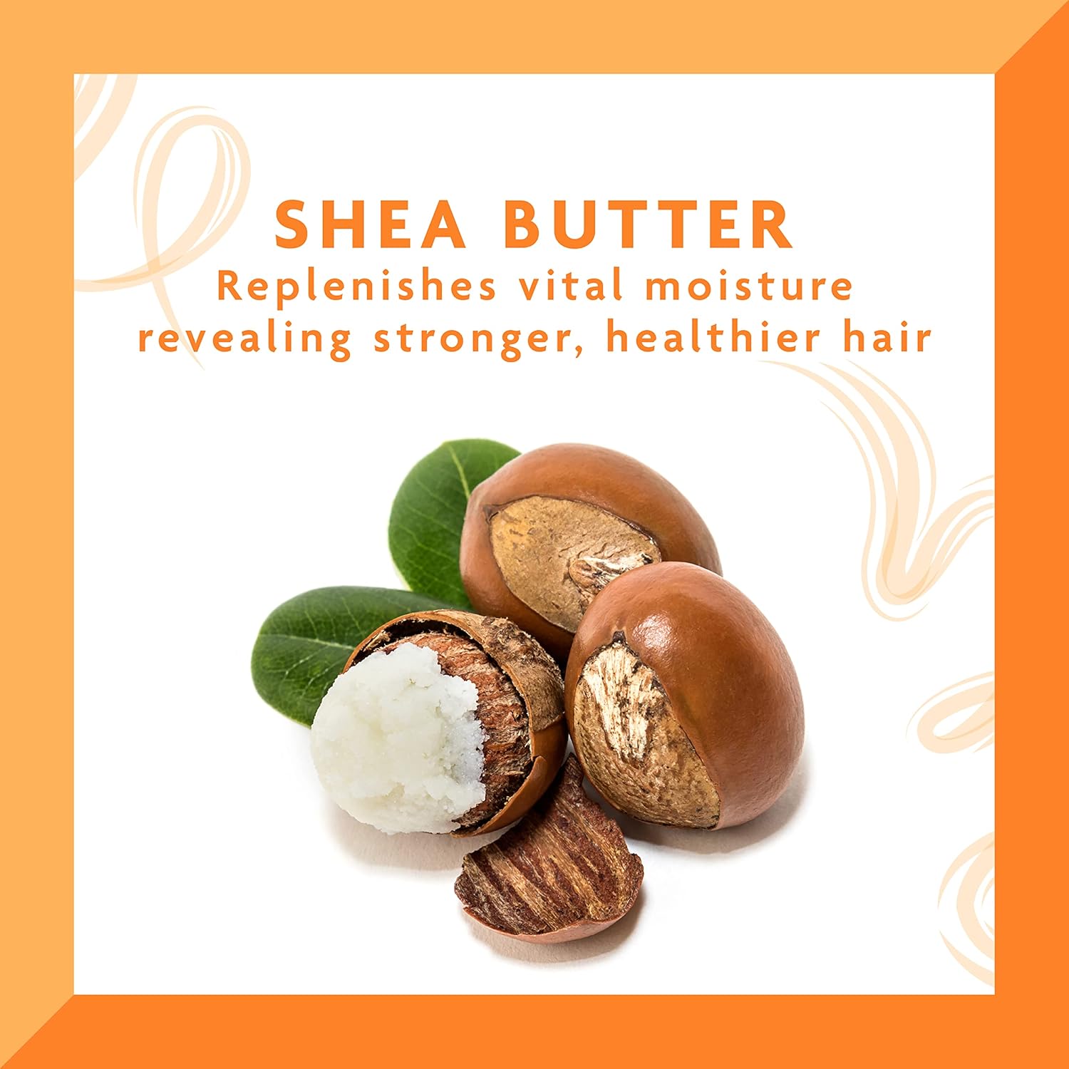 Cantu Shea Butter Hair Dressing Pomade 113g with shea nuts and green leaves