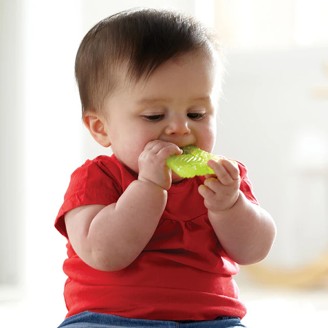 Munchkin Fun Ice Chewy Teether hand-shaped green silicone teething toy
