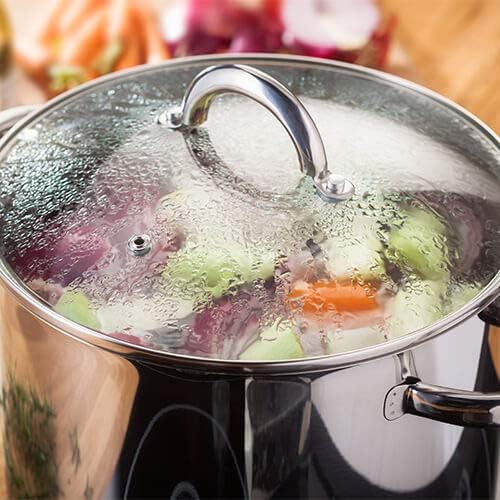 Judge 20cm stainless steel stockpot with vented glass lid JP80