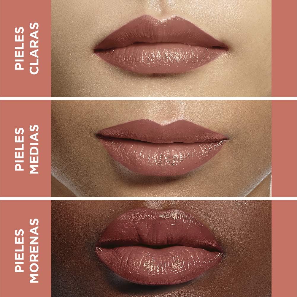 Karl Lagerfeld L'Oréal Paris Color Riche Lipstick 02 Kontemporary brown shade