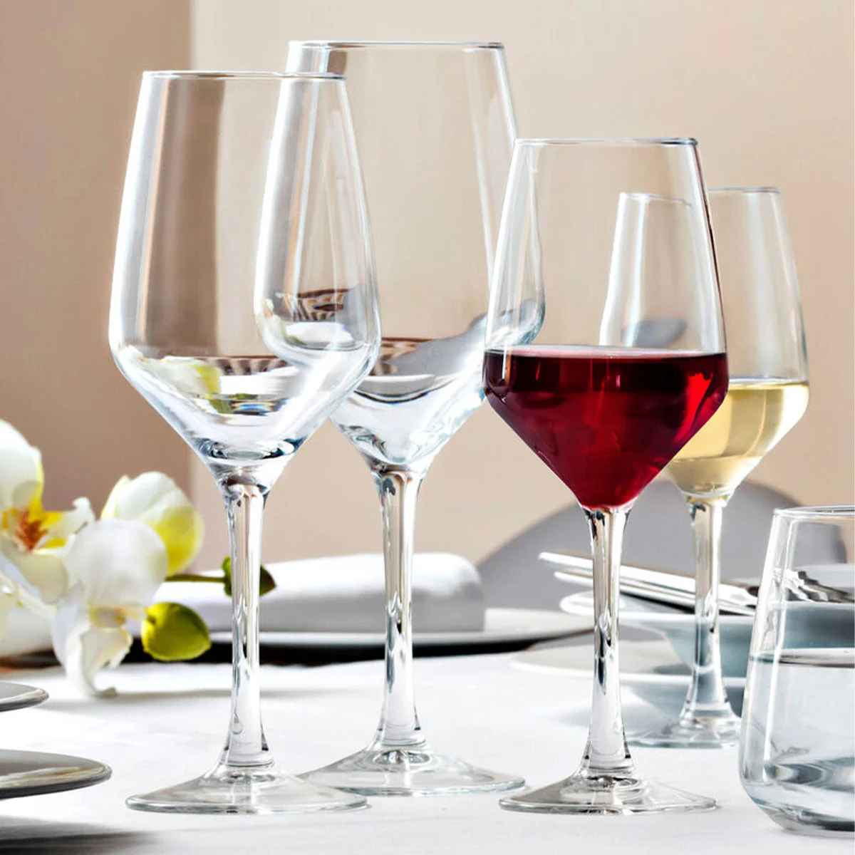 Vicrila Mencia wine glasses 31cl clear glass set of 6 pieces