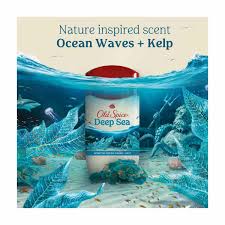 Old Spice Deep Sea antiperspirant deodorant for men 2.6 oz
